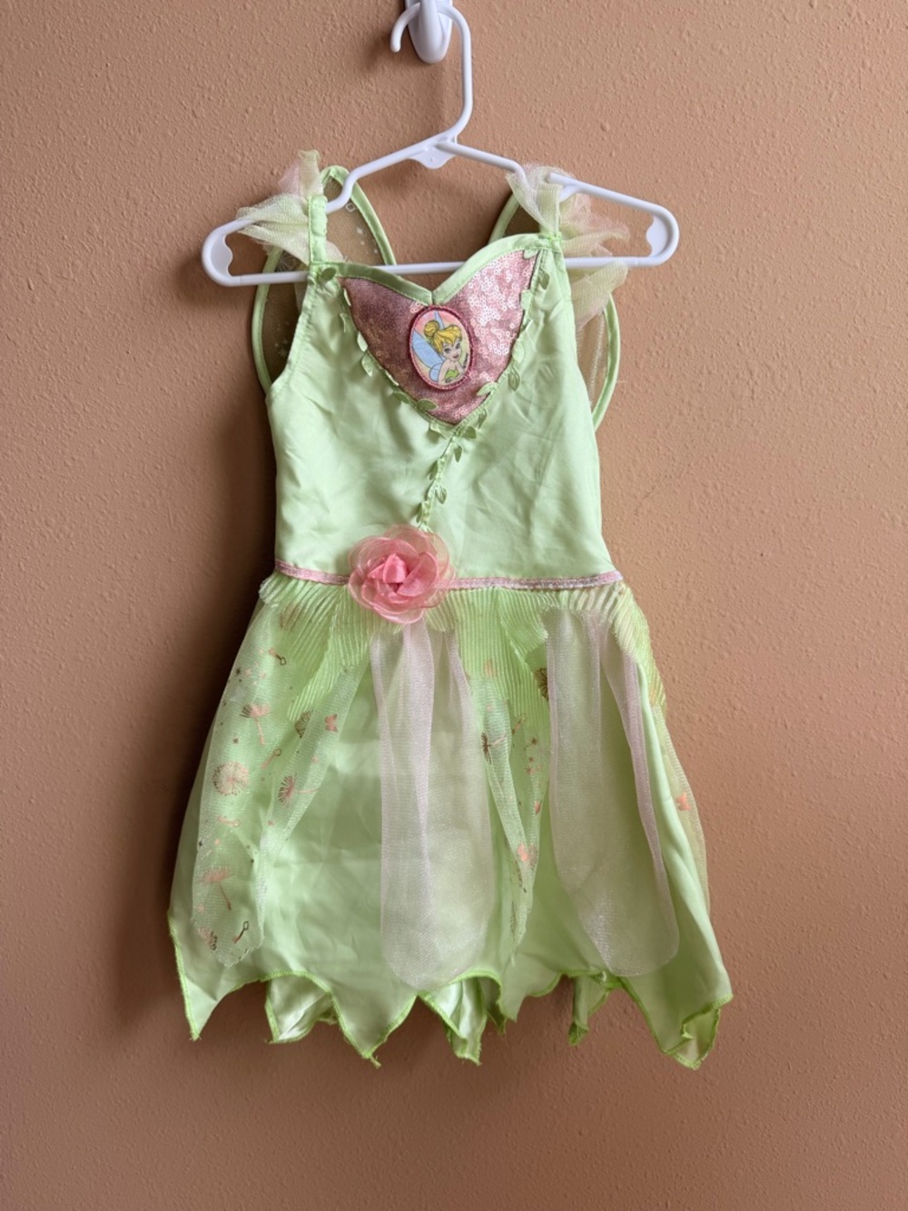 Disney Light Green and Pink Fairy Dress Costume